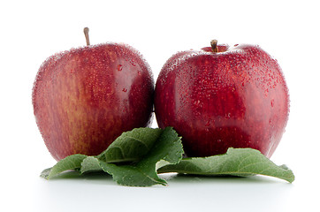 Image showing Ripe red apples