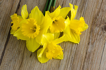 Image showing Jonquil flowers