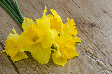 Image showing Jonquil flowers