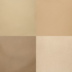 Image showing Set of beige leather samples