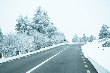 Image showing Snowy Road