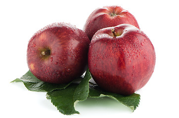 Image showing Ripe red apples