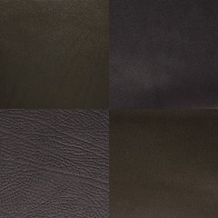 Image showing Set of grey leather samples