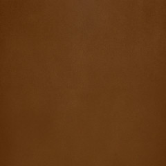 Image showing Brown leather