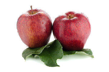 Image showing Ripe red apples