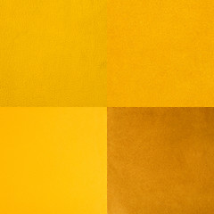 Image showing Set of yellow leather samples