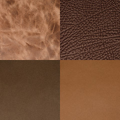 Image showing Set of brown leather samples