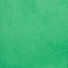 Image showing Green leather texture closeup