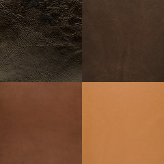 Image showing Set of brown leather samples