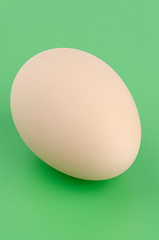 Image showing Brown egg