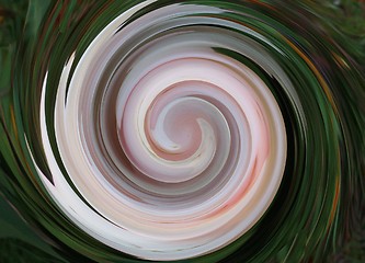 Image showing spiral texture