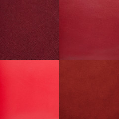Image showing Set of red leather samples