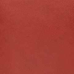 Image showing Red leather 