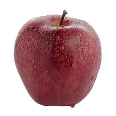 Image showing Red apple