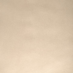 Image showing Beige leather