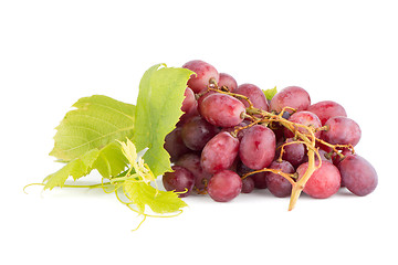 Image showing Bunch of red grapes