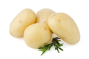 Image showing New potato and green parsley