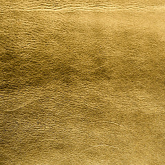 Image showing Golden color leather
