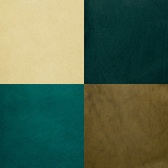 Image showing Set of green leather samples