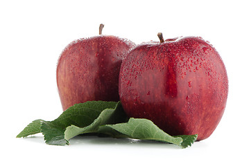 Image showing Ripe red apples