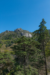 Image showing Castelo dos Mouros