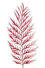 Image showing Red Christmas decoration