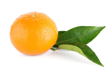 Image showing Ripe tangerine or mandarin