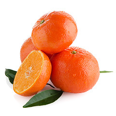 Image showing Tangerines