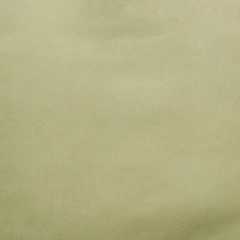 Image showing Natural green leather