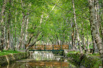 Image showing Park Natural serra Estrela - Portugal 