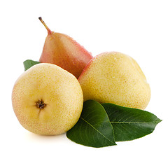 Image showing Three ripe pears