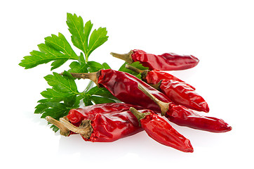 Image showing Red chili or chilli pepper and parsley leaves