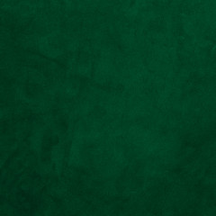 Image showing Green leather texture closeup