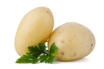 Image showing New potatoes and green parsley