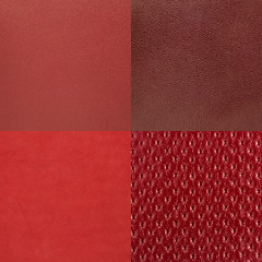 Image showing Set of red leather samples