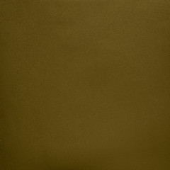 Image showing Green leather