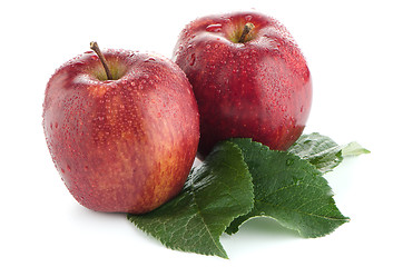 Image showing Ripe red apples