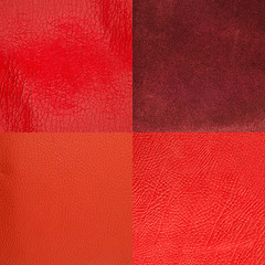 Image showing Set of red leather samples