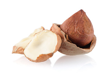 Image showing Tasty hazelnuts