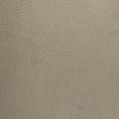 Image showing Grey leather texture closeup