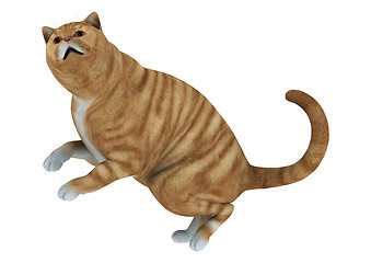 Image showing Cat