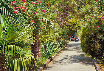 Image showing Alley in the Park with beautiful southern flowering plants.