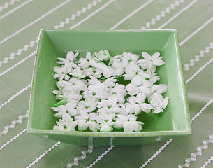 Image showing Floating flowers