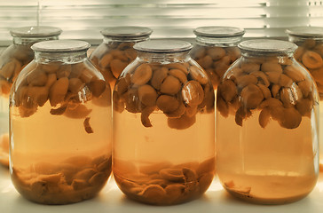 Image showing Home canning: large glass cylinders with apricot compote.