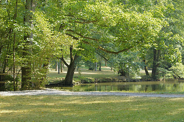 Image showing idyllic park scenery