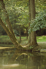 Image showing idyllic park scenery