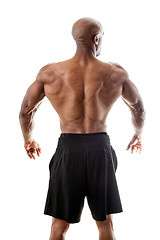 Image showing Strong Muscular Back