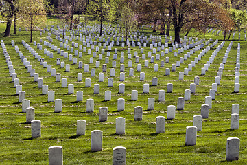 Image showing Headstones at Arlington National Cemetery