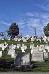 Image showing Graves at the Arlington Cemetery