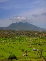 Image showing Mountain over Southeast Asian Agricultural Fields